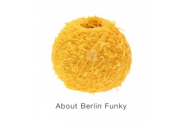 About Berlin Funky 010